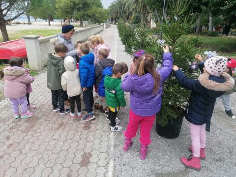 Ukrašavanje borova u centru Crikvenice