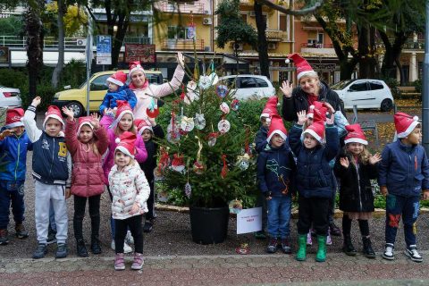 Ukrašavanje borova u centru Crikvenice