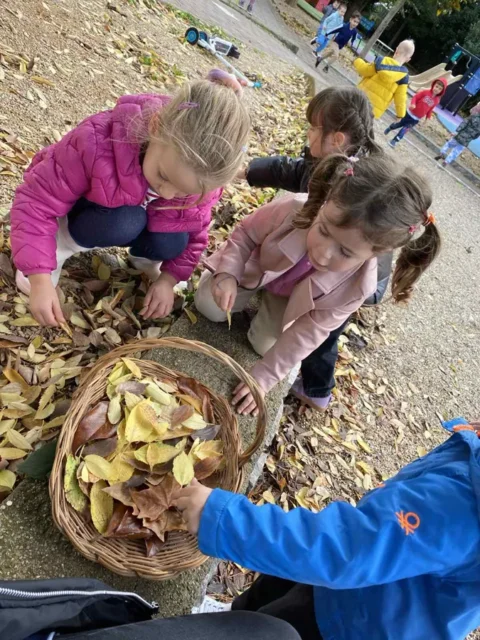 senzorna integracija