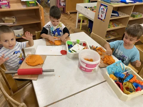 senzorna integracija