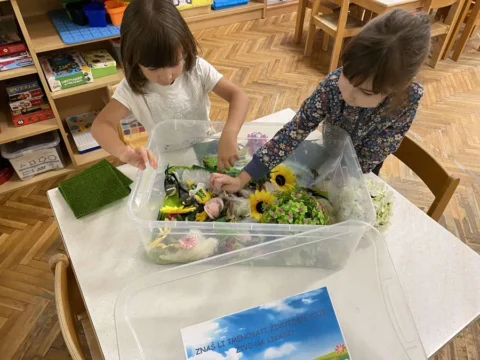 senzorna integracija