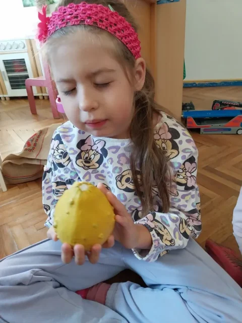 senzorna integracija