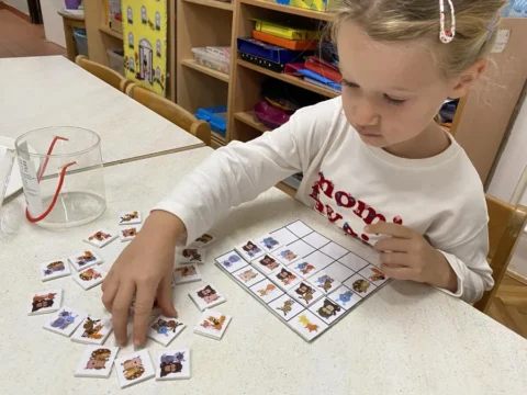 senzorna integracija