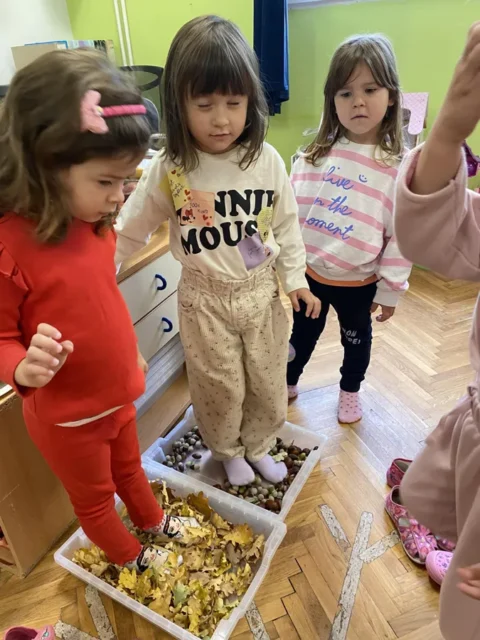 senzorna integracija