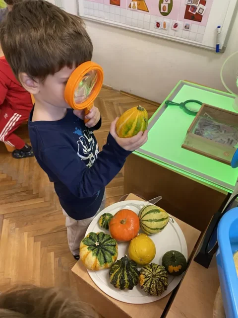 senzorna integracija