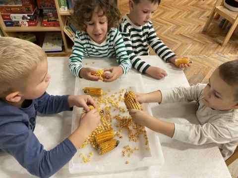 senzorna integracija