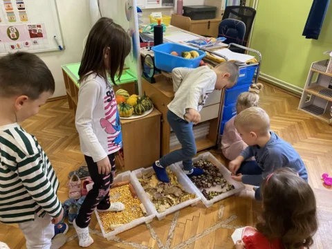 senzorna integracija