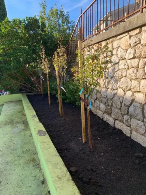 projekt "Zelena oaza djetinjstva"